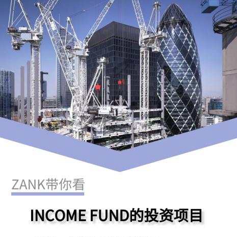 INCOME FUND的投资项目